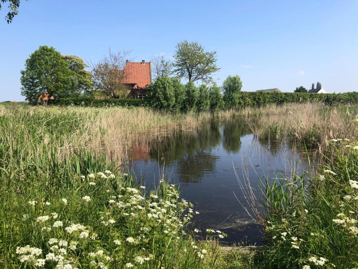 Appartement De Graanzolder Aan Zeeuwse Kust Hoofdplaat Exterior foto